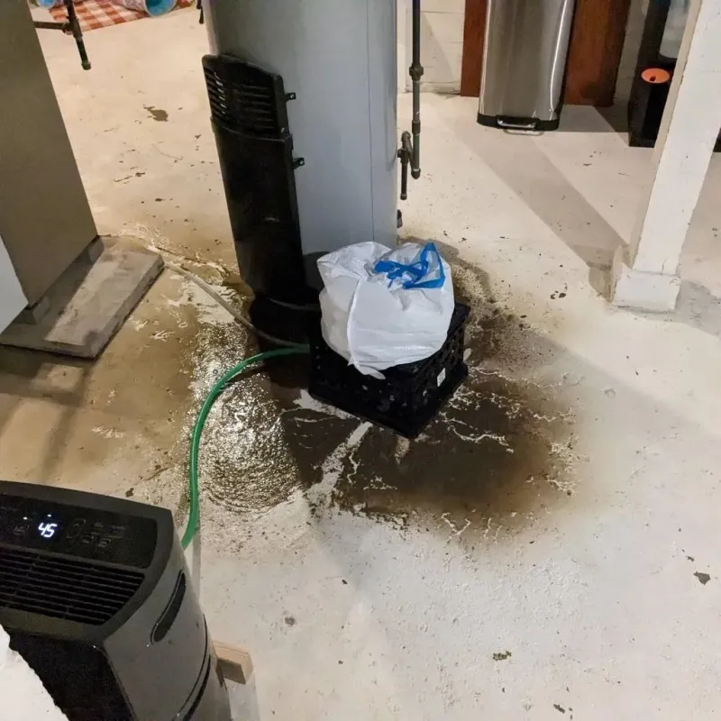 Sewage Backup Cleanup Service in Cole County, MO